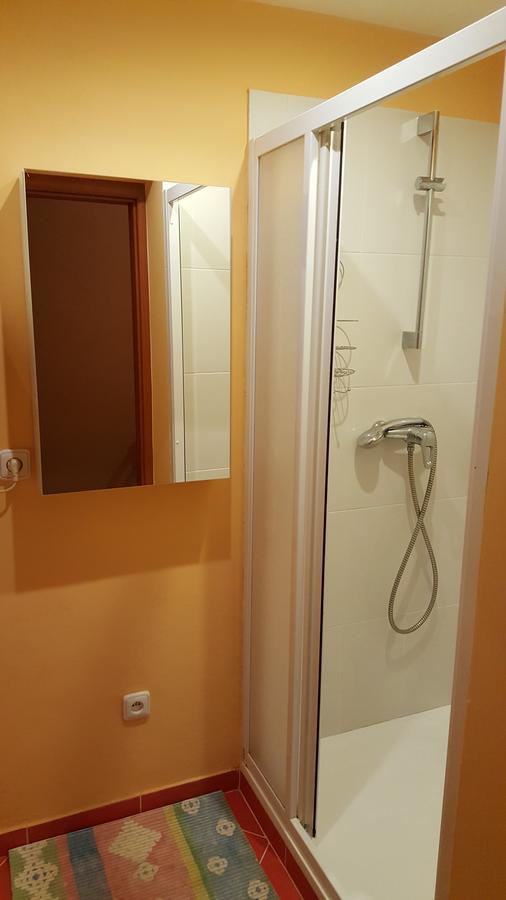 Apartman V Centru Karlovych Varu Karlowe Wary Zewnętrze zdjęcie